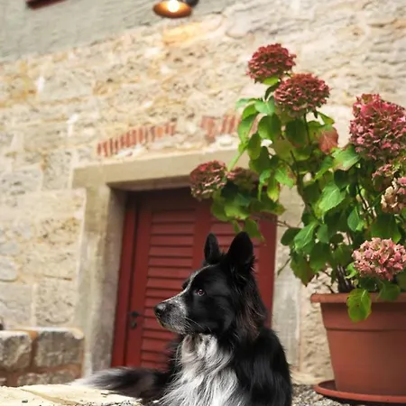 Schlossbrauerei Nyaraló *