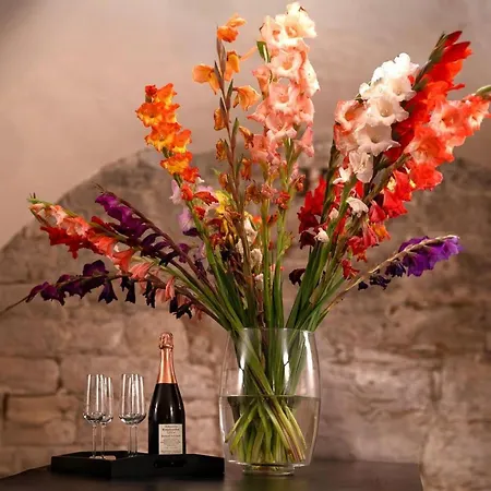 Nyaraló Schlossbrauerei